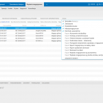 Subiekt Nexo Wydania Magazynowe