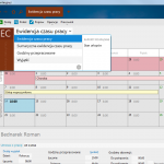 ewidencja czasu pracy widoki