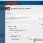 wyplata widok analizy